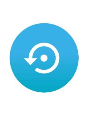 Mobile Phone Data Recovery