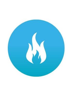 Overheating Cleaning Service